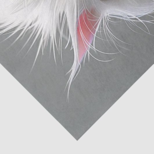 Decoupage Grumpy White Fury Cat Seidenpapier (Detail)