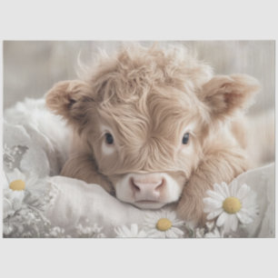 Decoupage Highland Calf White Daisies Seidenpapier