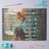Decoupage Highland Cows Front Aquamarin Stall Seidenpapier (Basteln)