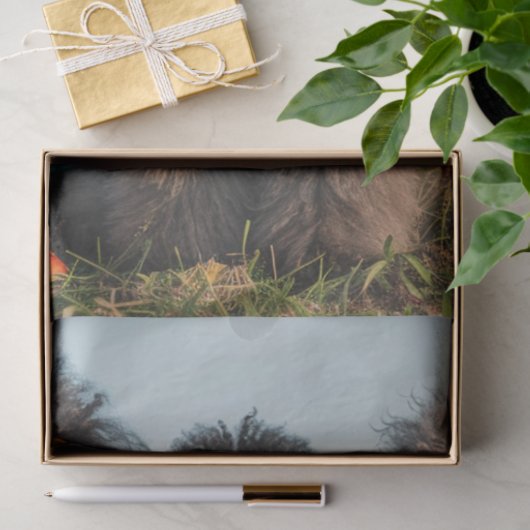 Decoupage Hippie Boho Standard Poodle Sisters Seidenpapier (Geschenk)