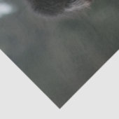 Decoupage Hippie Hipster Standard Poodles Bicycle Seidenpapier (Ausschnitt)