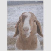 Decoupage Jerry Goat  Seidenpapier (Vorderseite)