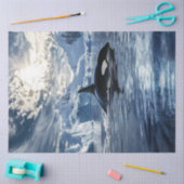 Decoupage Killer Whale Orca Icy Waters Seidenpapier (Basteln)