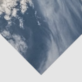 Decoupage Killer Whale Orca Icy Waters Seidenpapier (Ausschnitt)