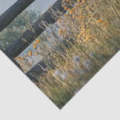 Decoupage Large Black Brahman Bull in Field Seidenpapier (Ausschnitt)