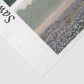 Decoupage Longhorn Wester Papers Sawblades Seidenpapier (Ausschnitt)