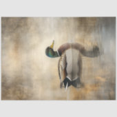 Decoupage Mallard Duck Pond & Reflection Seidenpapier (Vorderseite)