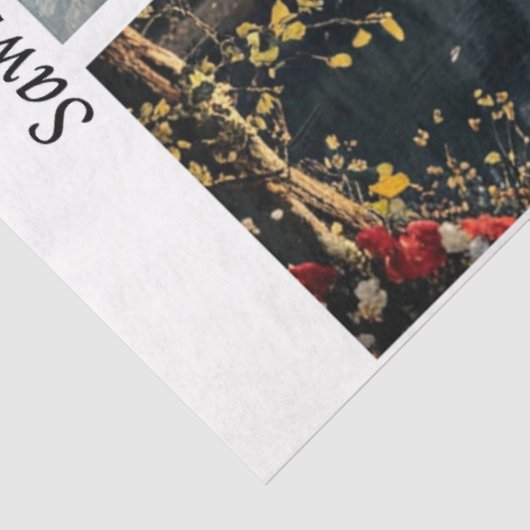 Decoupage Moonlit Castles Signs & Handsaws Seidenpapier (Ausschnitt)