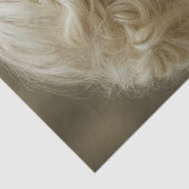 Decoupage Mystical Woman In Ivory With Owl Seidenpapier (Ausschnitt)