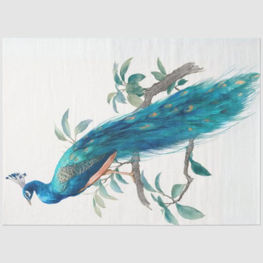 Decoupage Natures Crown Botanischer Pfau Seidenpapier (Vorderseite)
