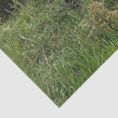 Decoupage Nostalgic Rusty Red Truck Alter Stall Seidenpapier (Ausschnitt)