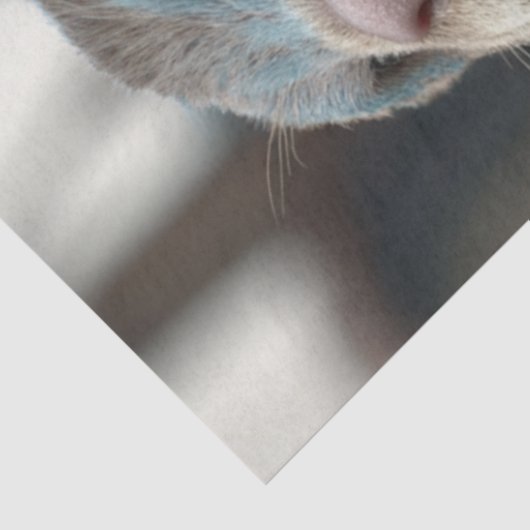 Decoupage Otter Warrior Blue Anzug Seidenpapier (Ausschnitt)