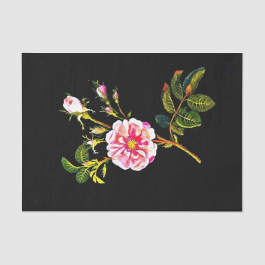 Decoupage Paper 10"x15" - Mary Delany 10 Seidenpapier (Vorderseite)