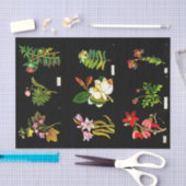 Decoupage Paper 10"x15" - Mary Delany 14 Seidenpapier (Handwerk)