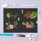 Decoupage Paper 10"x15" - Mary Delany 16 Seidenpapier (Handwerk)