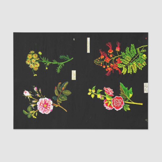 Decoupage Paper 10"x15" - Mary Delany 16 Seidenpapier (Vorderseite)