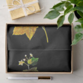 Decoupage Paper 10"x15" - Mary Delany 2 Seidenpapier (Geschenk)