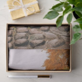 Decoupage Paper, Wrapping, - Ephemerial Elegance 1 Seidenpapier (Geschenk)