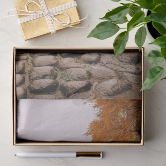 Decoupage Paper, Wrapping, - Ephemerial Elegance 1 Seidenpapier (Geschenk)