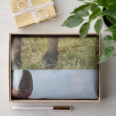 Decoupage Pferd auf Feld Regenbogen  Seidenpapier (Geschenk)