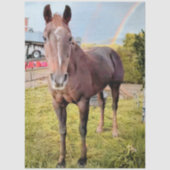Decoupage Pferd auf Feld Regenbogen  Seidenpapier (Vorderseite)
