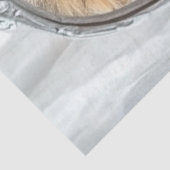 Decoupage Reflection Self of Kitten and Lion  Seidenpapier (Ausschnitt)