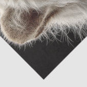 Decoupage Regal White Tiger Portrait Fantasy Nobel Seidenpapier (Ausschnitt)