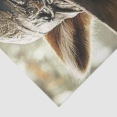 Decoupage Robin Hood Raccoon Woodland Hero Seidenpapier (Ausschnitt)