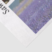 Decoupage Running Horses Rustic Wild Horse Handsaw Seidenpapier (Ausschnitt)