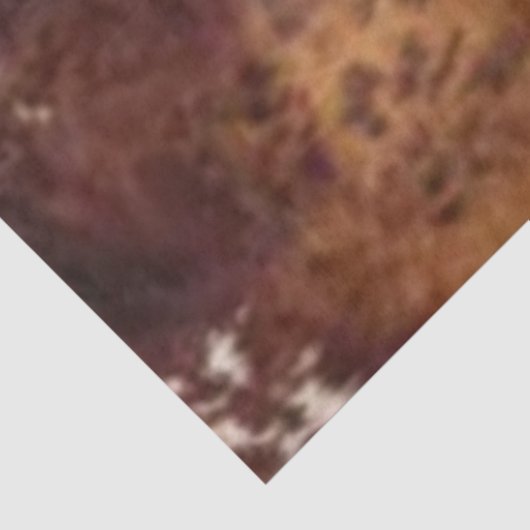 Decoupage Rustic Cowhide Western  Seidenpapier (Ausschnitt)