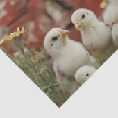 Decoupage Rustic Farm Scene Rocaster Chicks Barn Seidenpapier (Ausschnitt)