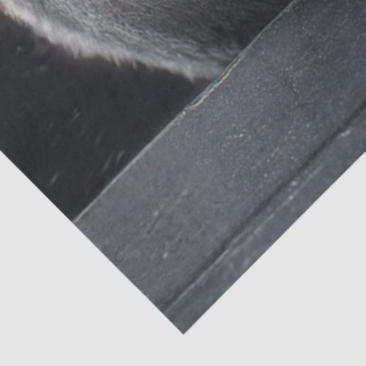 Decoupage Santa Claus From Crypt Sneak Peek Art Seidenpapier (Ausschnitt)