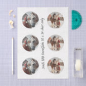 Decoupage-Schneekugel Santa & Pferd  Seidenpapier (Handwerk)