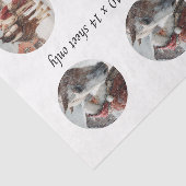 Decoupage-Schneekugel Santa & Pferd  Seidenpapier (Ausschnitt)