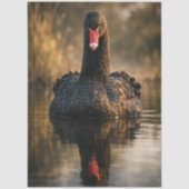 Decoupage Schwarzer Schwan aus Australien Seidenpapier (Vorderseite)