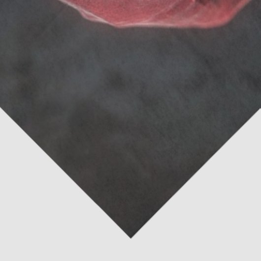 Decoupage Skeleton Santa Claus Lurking Peeking Art Seidenpapier (Ausschnitt)