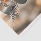 Decoupage Skeleton Verheiratet Couple Seidenpapier (Ausschnitt)