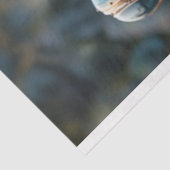 Decoupage Steampunk Blue Frog Seidenpapier (Ausschnitt)