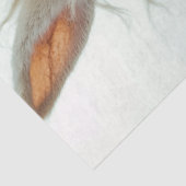 Decoupage Steampunk Rabbit Riding Motorrad Seidenpapier (Ausschnitt)