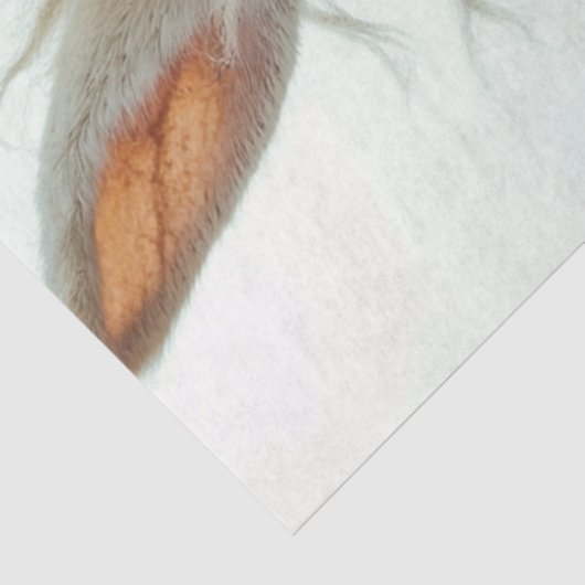 Decoupage Steampunk Rabbit Riding Motorrad Seidenpapier (Ausschnitt)