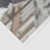 Decoupage Steampunk Standard Poodle Motorradfahrer Seidenpapier (Ausschnitt)