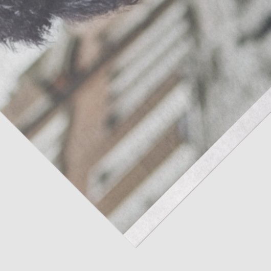 Decoupage Steampunk Standard Poodle Motorradfahrer Seidenpapier (Ausschnitt)