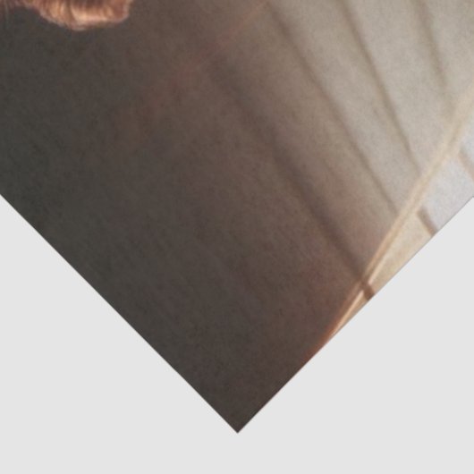 Decoupage Steampunk Victorian Fantasy Masquerade  Seidenpapier (Ausschnitt)