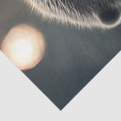 Decoupage Stylish Gitarre Playing Otter Seidenpapier (Ausschnitt)