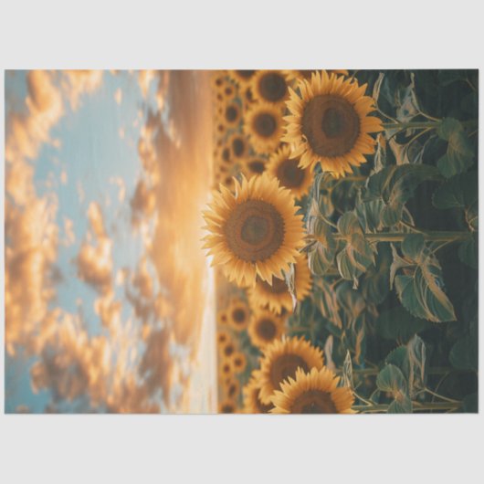 Decoupage Sunflower Field Sunlight Kiss Sky Seidenpapier (Vorderseite)