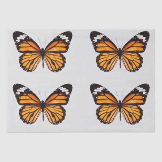 DECOUPAGE TISSUPAPIER : MONARCH-BUTTERFLY SEIDENPAPIER (Vorderseite)