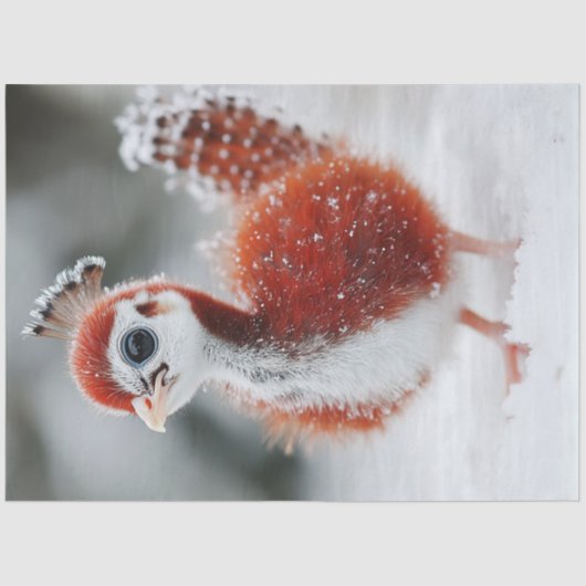 Decoupage Vibrany Whimsical Fluffy Christmas Bird Seidenpapier (Vorderseite)