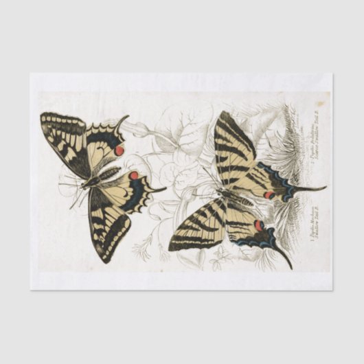 Decoupage Vintag Butterflys Seidenpapier (Vorderseite)