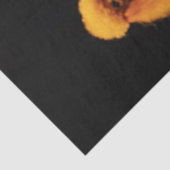 Decoupage Whimsical Coy's farbenfrohe Hunde Seidenpapier (Ausschnitt)