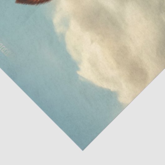 Decoupage Whimsical Funny Animal Pose Seidenpapier (Ausschnitt)